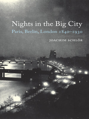 cover image of Nights in the Big City